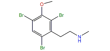 Convolutamine F